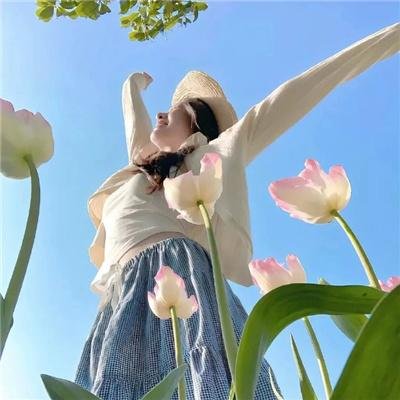 蜂蜜与四叶草
